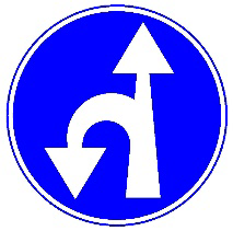 סע ישר או בפנית פרסה שמאלה, פנית פרסה ימינה אסורה