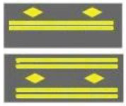 נתיב לרכב ציבורי